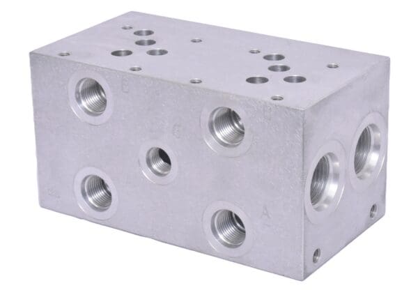 A block of metal with holes for the valves.