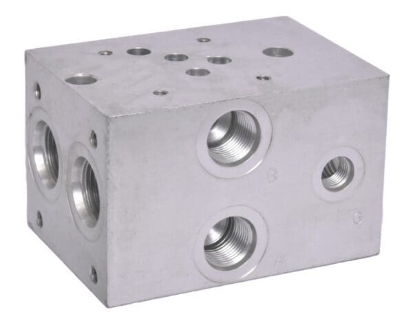 A block of metal with holes for the valves.