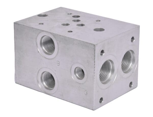 A block of metal with holes for the valves.